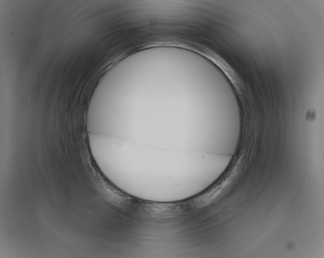 X0000094460857200712061222