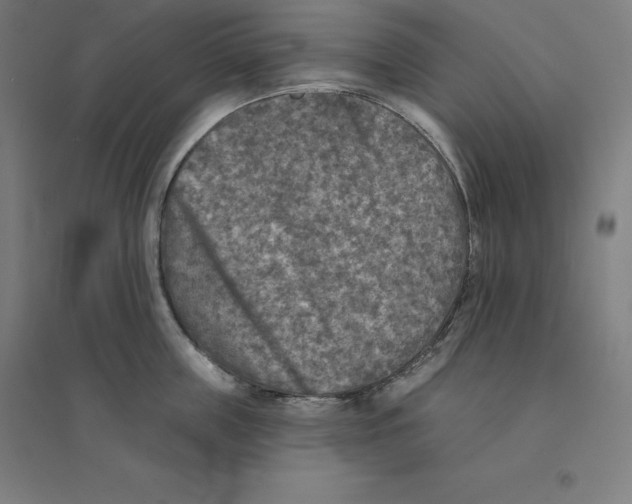 X0000094460859200712061222