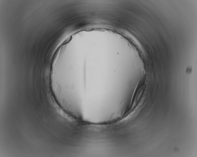 X0000094460860200712061222