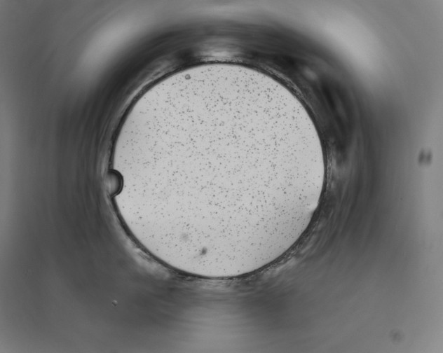 X0000094460861200712061222