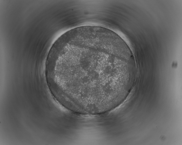 X0000094460862200712061222