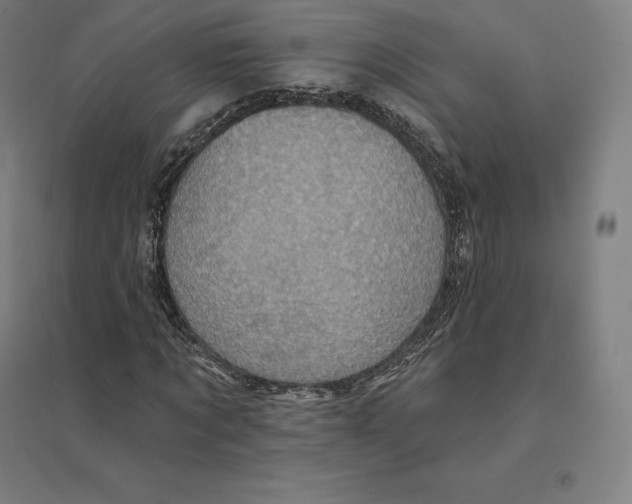 X0000094460869200712061221