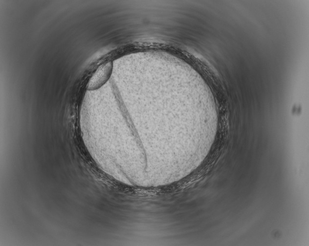 X0000094460870200712061221