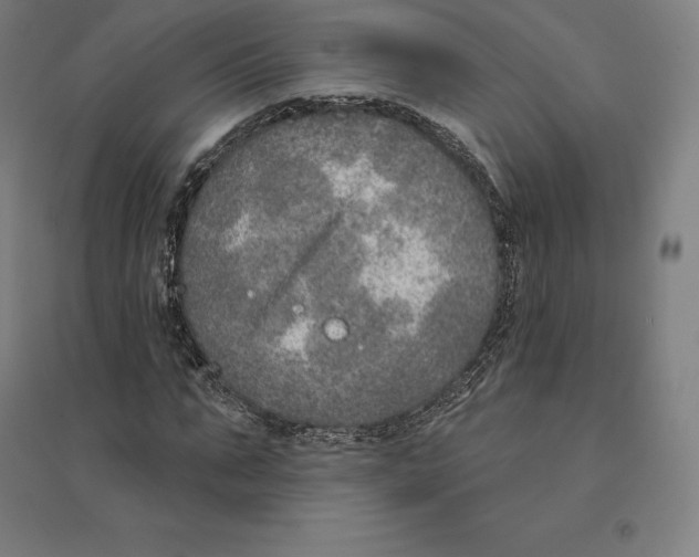 X0000094460871200712061221