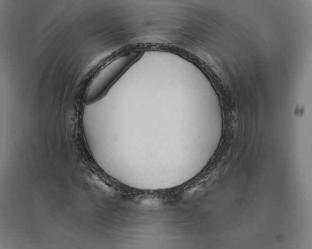 X0000094460872200712061221