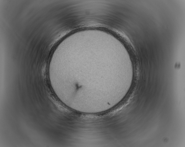 X0000094460873200712061221