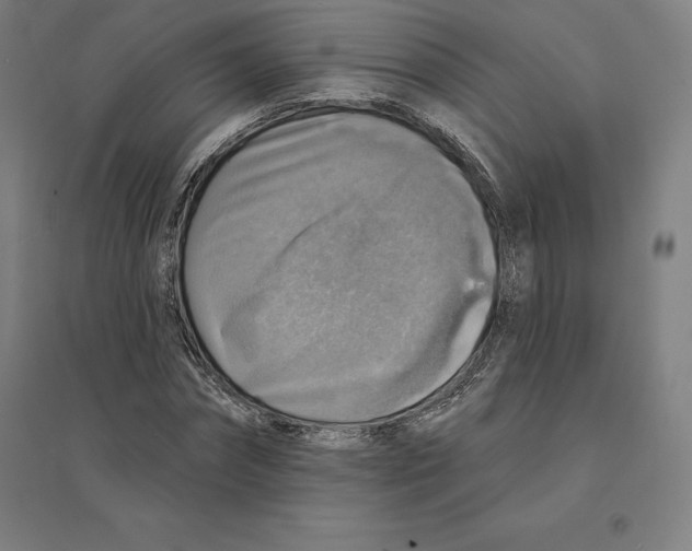 X0000094460874200712061221