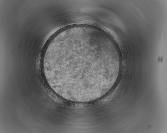 X0000094460875200712061221