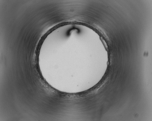 X0000094460876200712061221