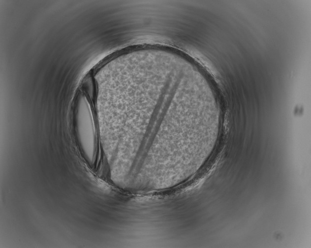 X0000094460877200712061221