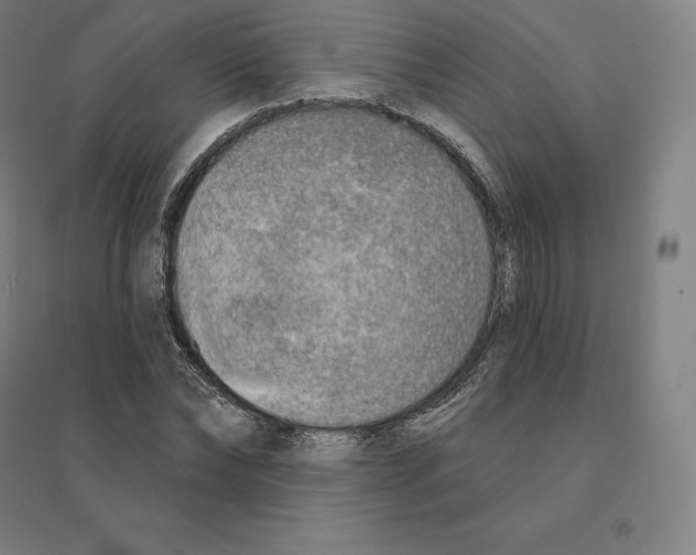 X0000094460878200712061221