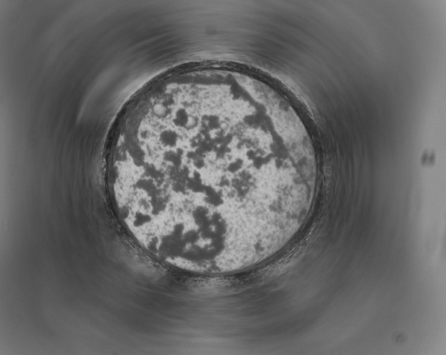 X0000094460879200712061221