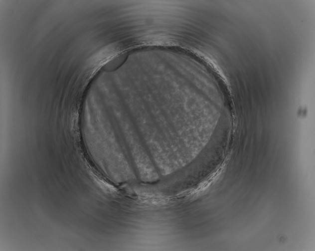 X0000094460881200712061221