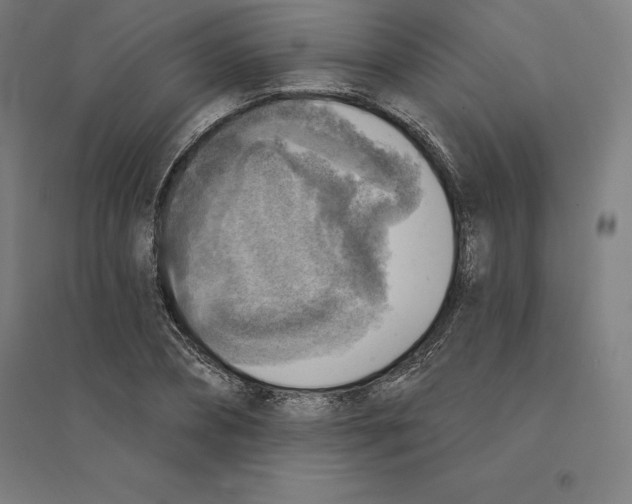 X0000094460882200712061221