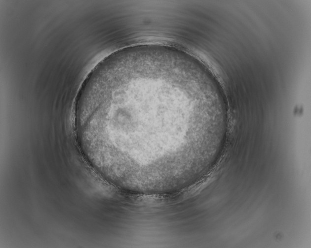 X0000094460883200712061221