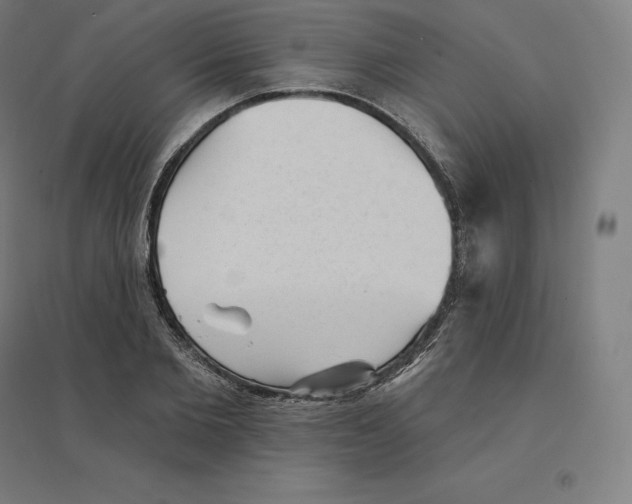 X0000094460885200712061221