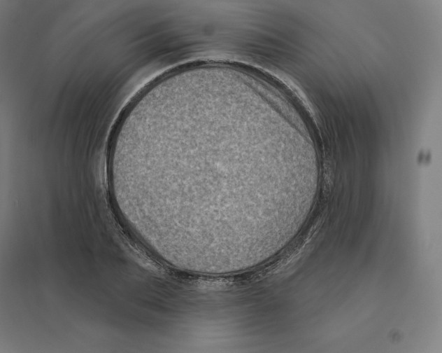 X0000094460887200712061221