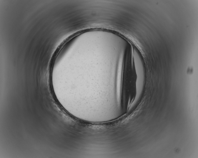 X0000094460888200712061221