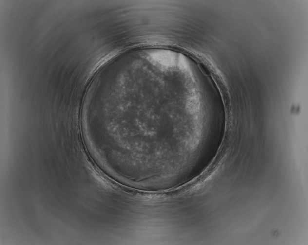 X0000094460889200712061221