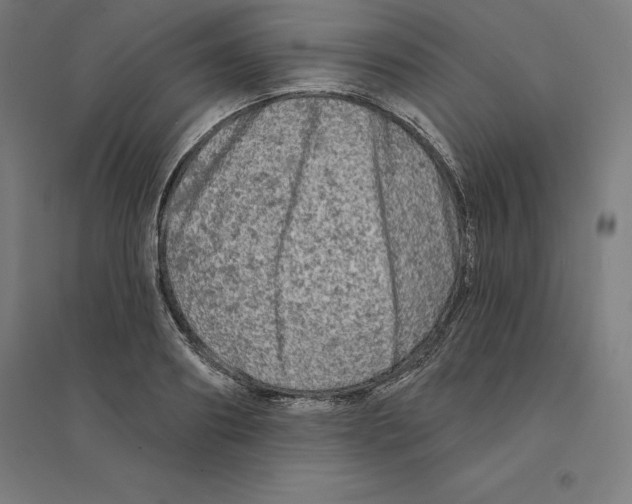 X0000094460890200712061221