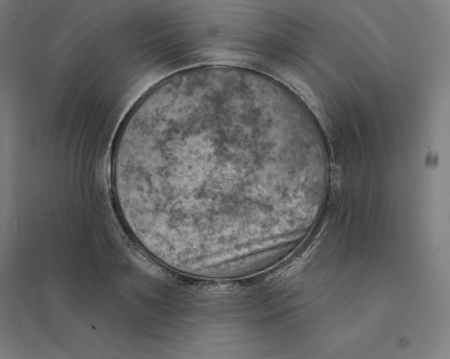 X0000094460891200712061221