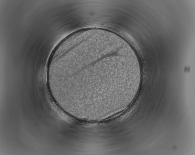 X0000094460892200712061221