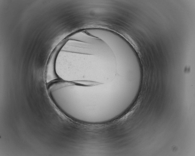 X0000094460893200712061221