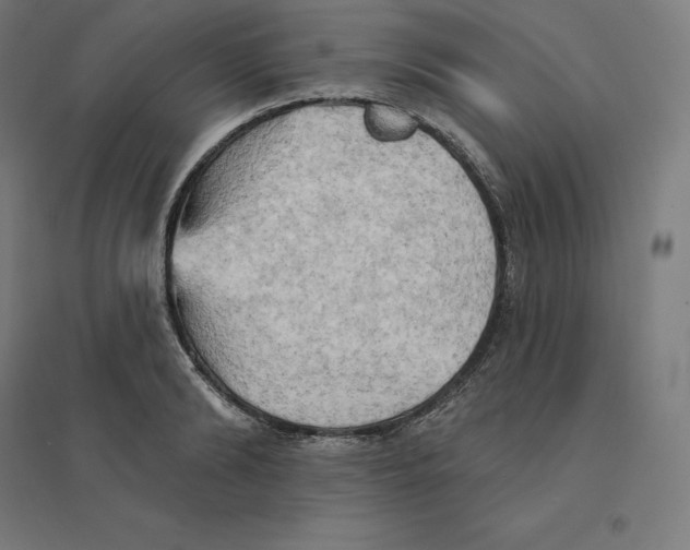 X0000094460894200712061221