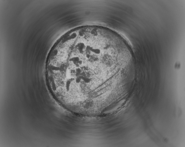 X0000094460895200712061221