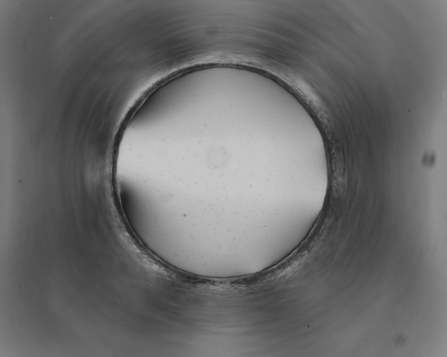 X0000094460896200712061221