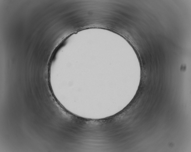 X0000094460898200712061221