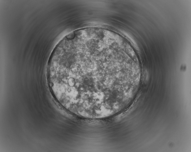 X0000094460899200712061221