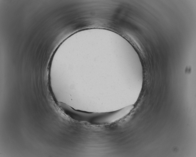 X0000094460900200712061221