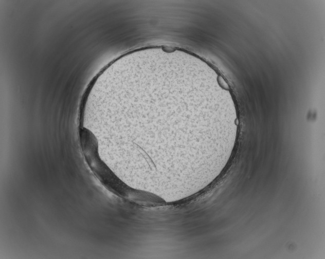 X0000094460902200712061221