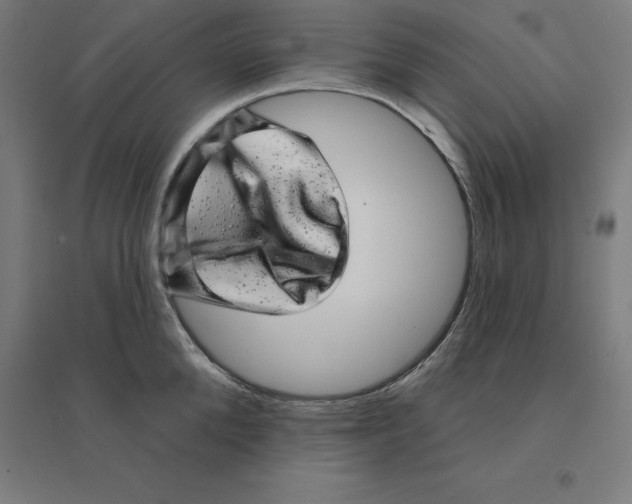 X0000094460904200712061221