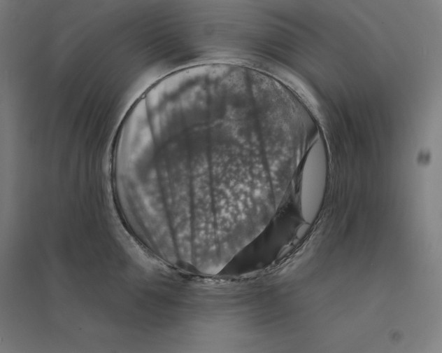 X0000094460907200712061221