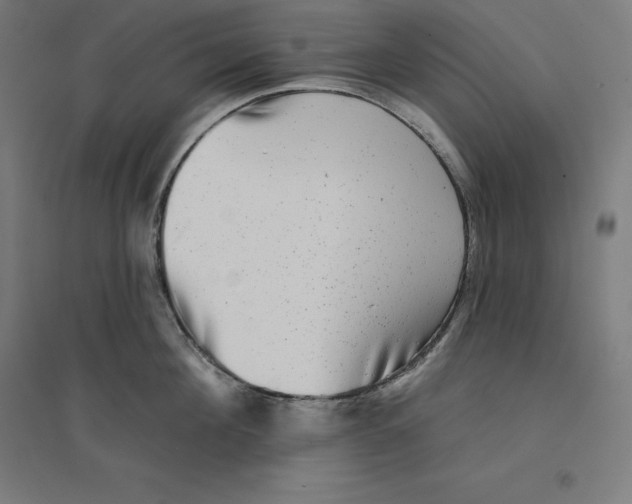 X0000094460908200712061221