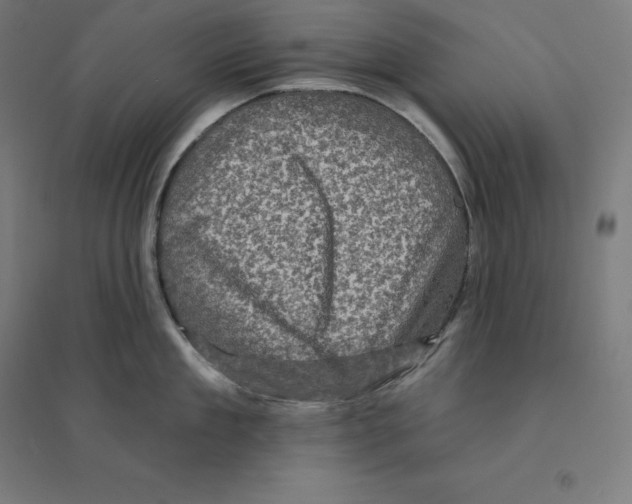 X0000094460909200712061221