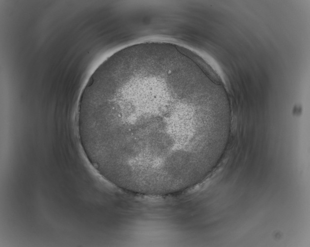 X0000094460911200712061221