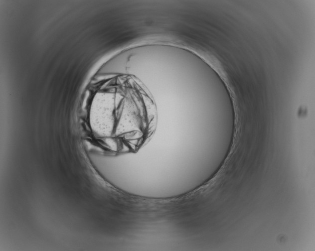 X0000094460912200712061221