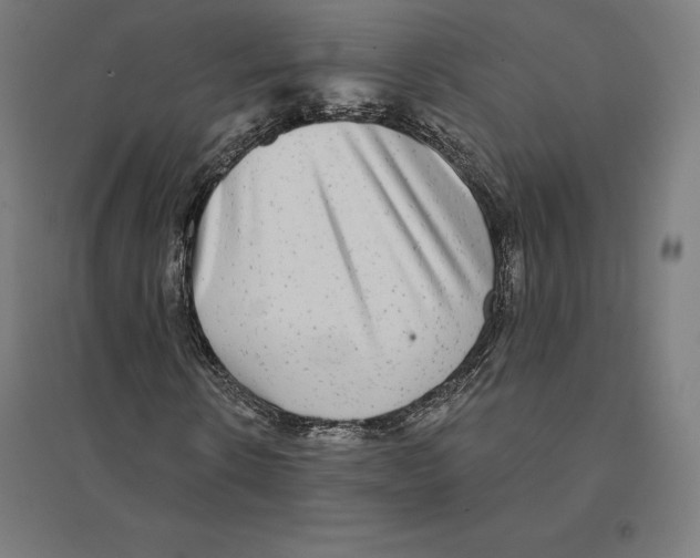 X0000094460914200712061220