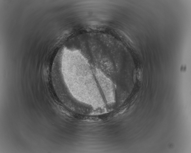 X0000094460915200712061220