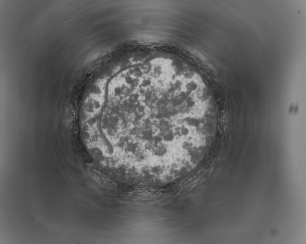 X0000094460917200712061220