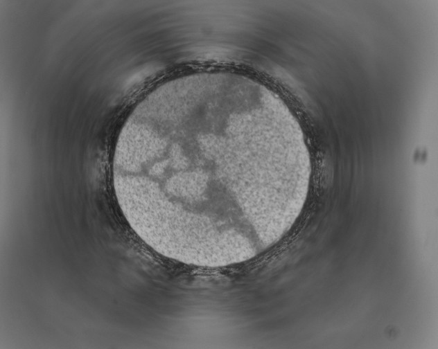 X0000094460918200712061220