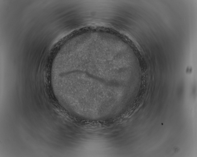 X0000094460919200712061220