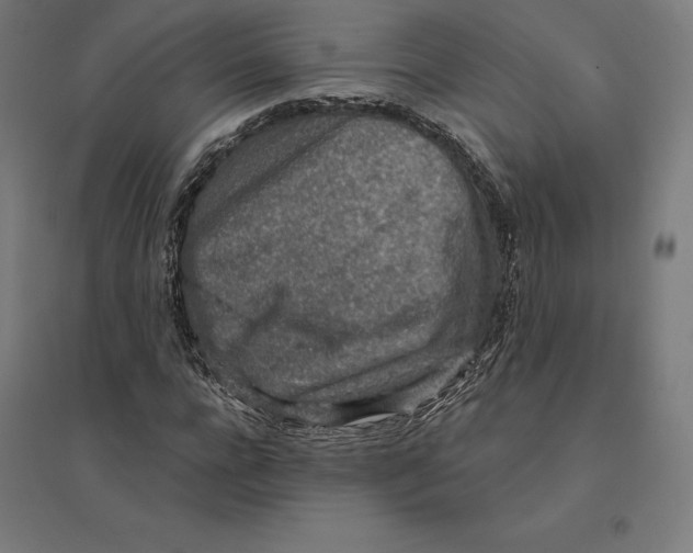 X0000094460920200712061220