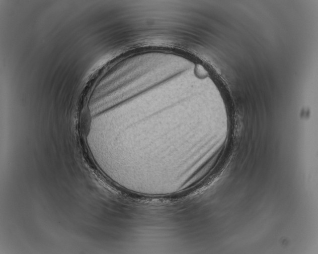 X0000094460922200712061220