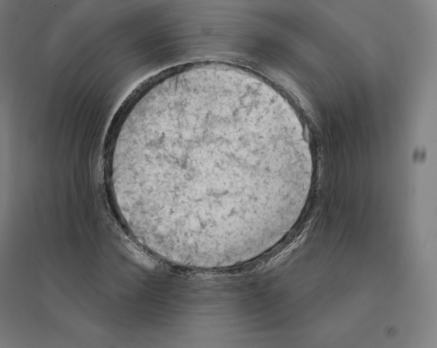 X0000094460924200712061220