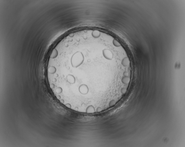 X0000094460925200712061220