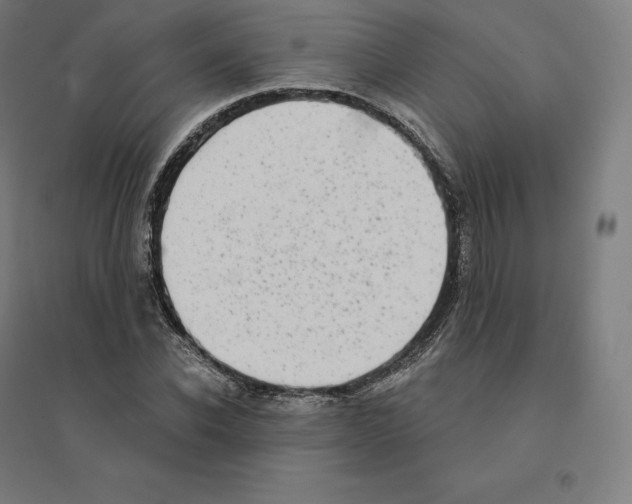 X0000094460926200712061220